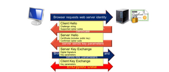 image-20210410174436422