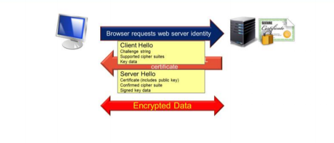 image-20210410174525666