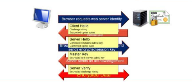 image-20210410174241384